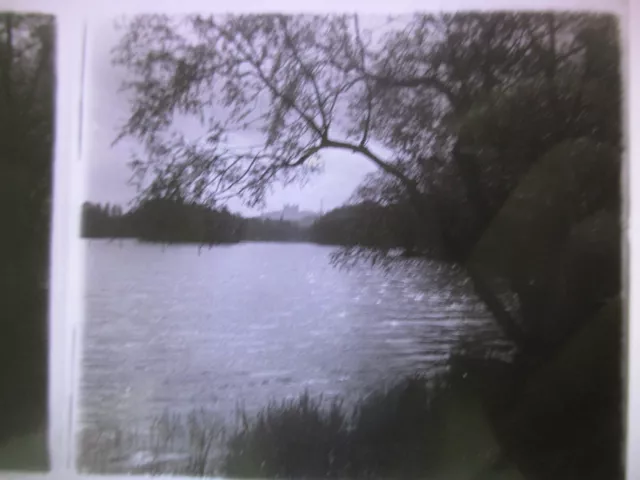 Photo Stereoscopic Plate Gold Head Park Water Body Trees circa 1910 3