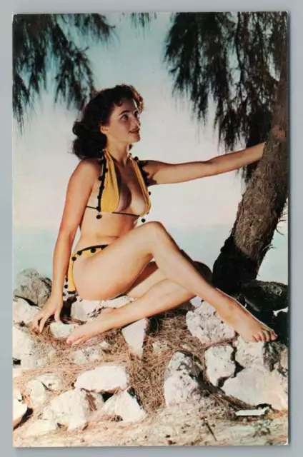 1960s Busty Bikini Girl Photo * Lifeguards Beach Bathing Suit