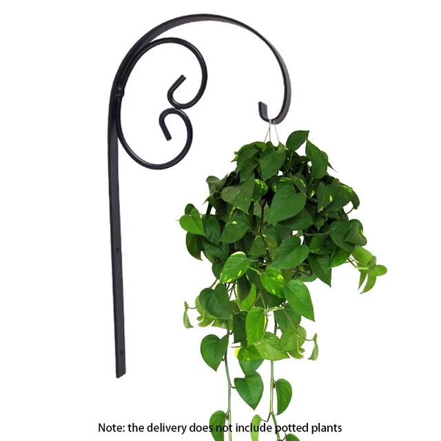Wall Hooks Hanging Plant Bracket Fence Retro Iron For Flower Pots Screw Mount