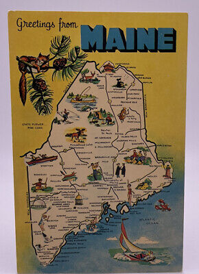 Greetings from Maine Map Pine Tree State Pictorial Map ME, Vintage Postcard