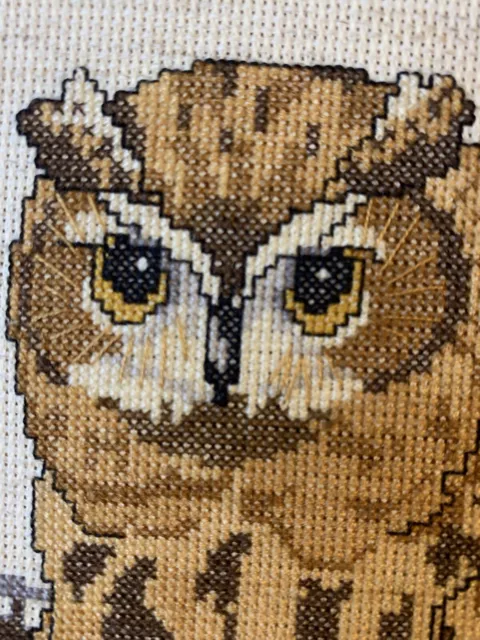 Vintage Needlepoint Owl Framed 1970s Cross Stitch Hilado bordado Wall Art Boho 2