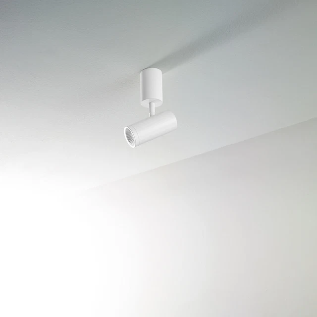 Faretto Singolo Moderno Big Canor Metallo Bianco Led