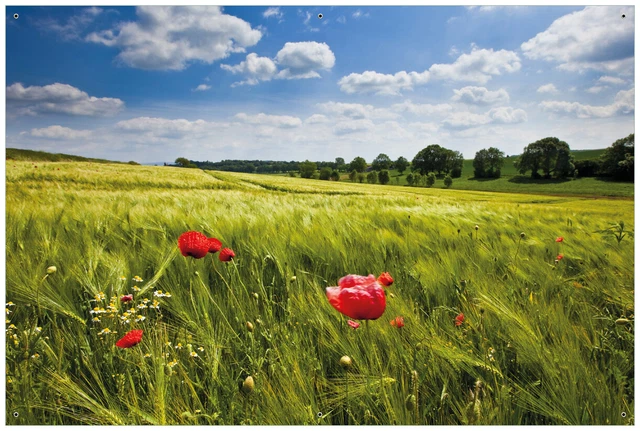 Wallario Garten Bakon Poster Zaun Sichtschutz wetterfest - Mohnblumenwiese