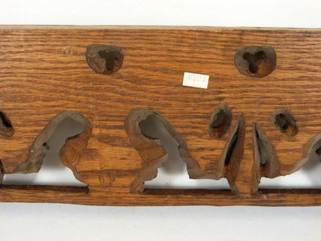 Antique Hand Carved Oak Architectural Salvage Trim Piece Floral Seed Pod 24 x 6" 6