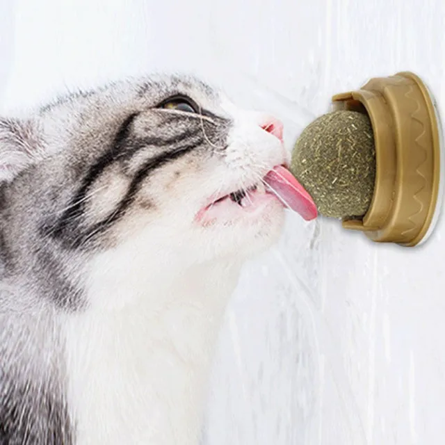 Cataire spray d'herbe à chat ou de menthe à chat 150 ml, Offre exclusive