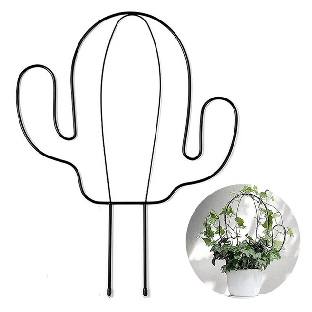 pieu Support pour plantes Tige de fixation Cadre d'escalade Support d'escalade