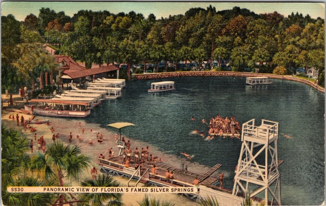 Silver Springs FL- Florida, Aerial View, Silver Springs Vintage Postcard