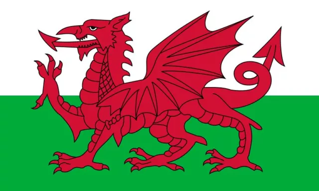 Welsh Dragon flag printed on knitted polyester