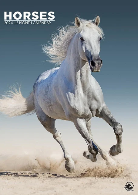 HORSES 2024 CALENDAR A3 Wall Calendar £9.49 - PicClick UK