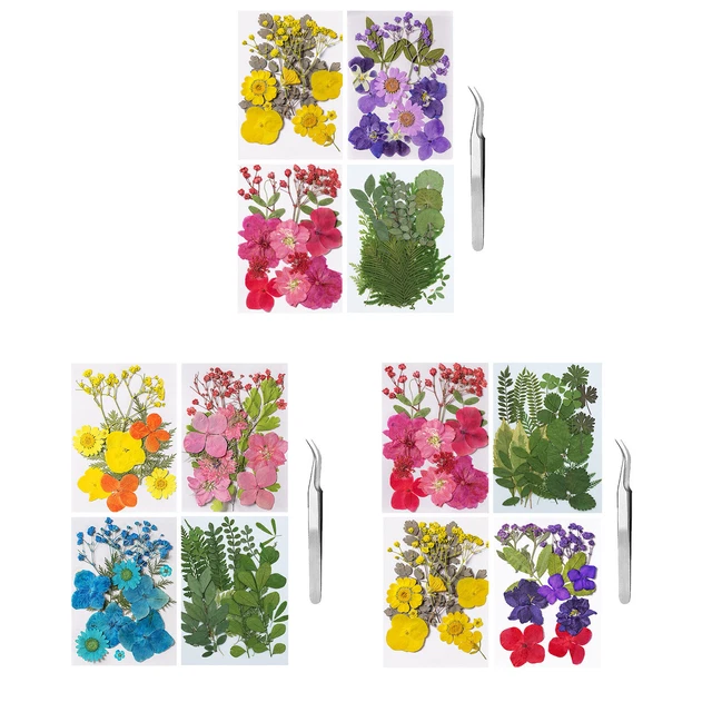Dried Pressed Flower for Resin Colorful Real Dry Flowers Leaves Bulk Natural Kit