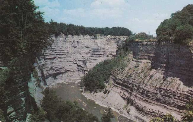 Genesee River Gorge - Letchworth State Park NY, New York