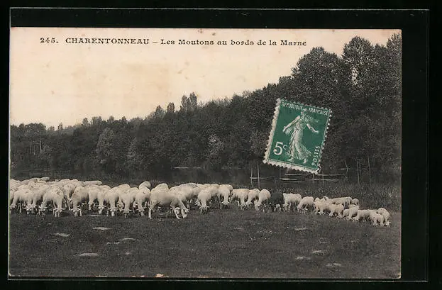 CPA Charentonneau, Les Moutons au bords de la Marne 1912