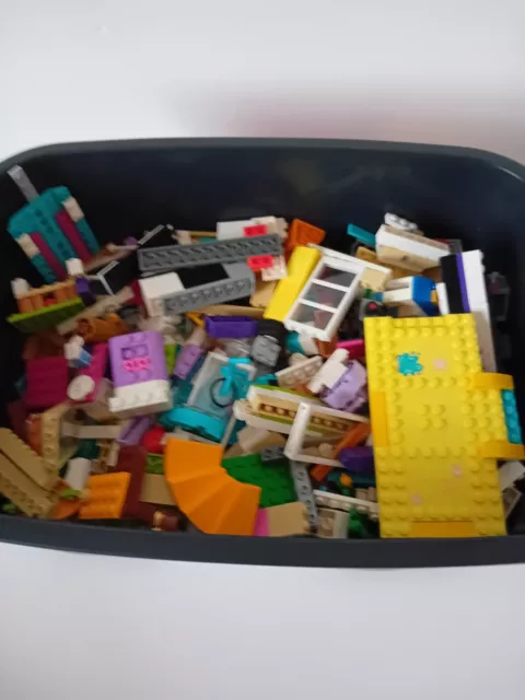 Lego  Friends  1kg Bundle of  Assorted Bricks Parts & 1 Random Minifigure  Lot B