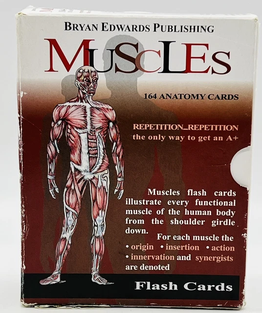 Anatomy 1 Axial Muscles Flash Cards By Cueflash vrogue.co