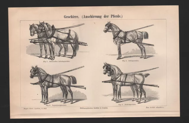 Lithografie 1894: Geschirre. (Anschirrung der Pferde.) Säuge-Tiere Pferd Turf