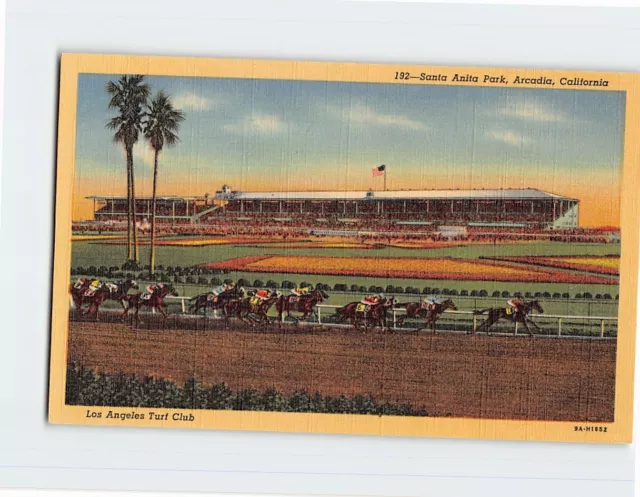 Postcard Los Angeles Turf Club, Santa Anita Park, Arcadia, California