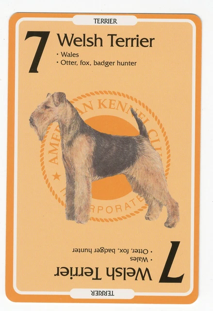 Welsh Terrier American Kennel Club Dog Collectable Trading Card