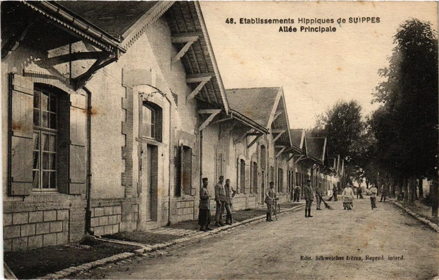 CPA MILITAIRE Etablissement Hippiques de Suippes Allée Principale (317277)