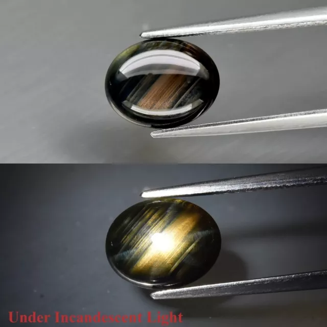 Rare! 2.58ct 9x7mm Oval Cab Blue-Green 12 Ray Star Sapphire Unheated Thailand