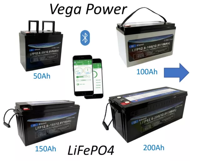 12V 50Ah 100Ah 150Ah 200Ah Lithium LiFePO4 PV Akku Batterie bis 150A BMS mit APP