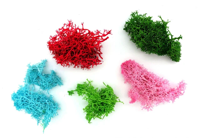 Musgo conservado seco musgo artesanal musgo natural para hacer manualidades con resina epoxi