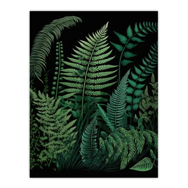 Elegant Fern Fronds Nature Foliage Teal Blue Green Black Wall Art Poster Print