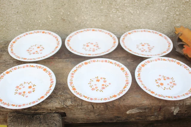 Lot De 6 Petites Assiettes Plates Arcopal France - Motif Légumes, 19,8 Cm - Bon état