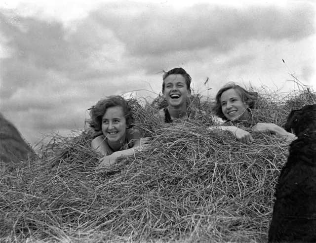 Three Girls in Haystack Straw Laughing DOG 1930s Glass Negative  4x3.5 inches