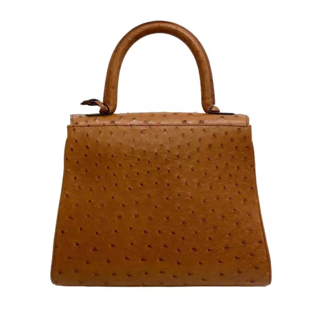 Delvaux Brillant Handbag Brown Women's Hand Bag Ostrich W240 x H190mm Authentic