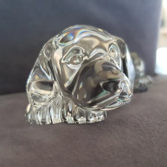 Nachtmann Glas Bleikristall liegender Hund Labrador?