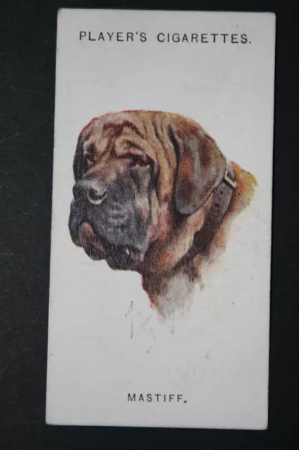 MASTIFF    Vintage Dog Portrait Card  QC19