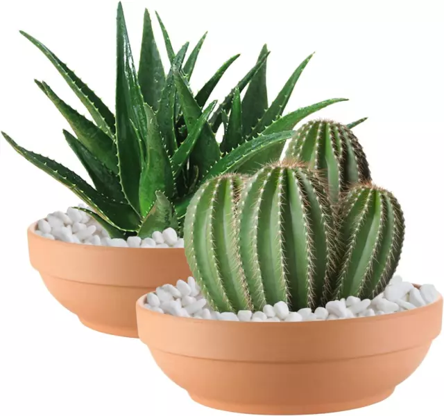 Terra Cotta Pots for Plants with Drainage Hole, 2 Pack Large round Clay Flower P