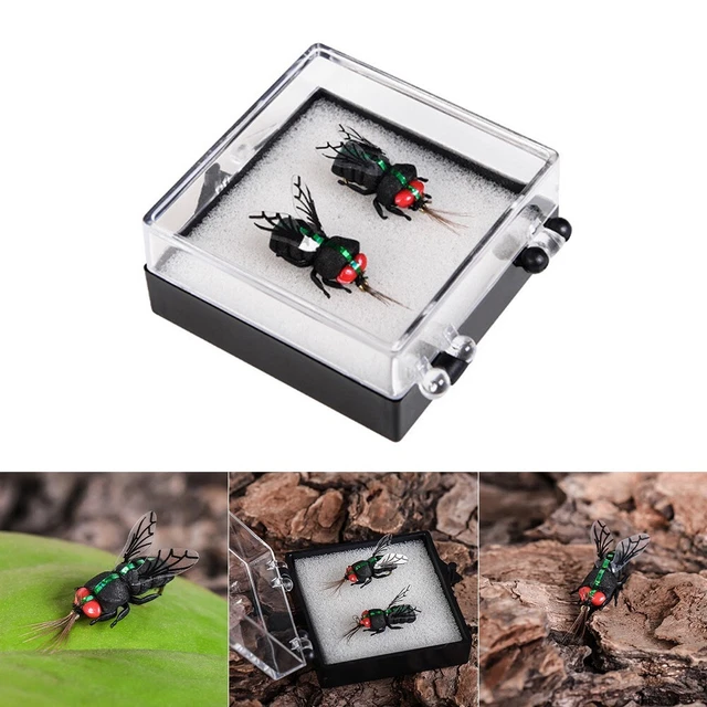 Il Persico Reale - Scopriamo Chi è E Come Si Pesca Il Persico - Pesca Facile - Foto 3