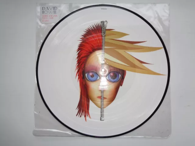David Bowie-Rebel Never Gets Old Picture Disc..superb! 1St Press N/M Vinyl 2004
