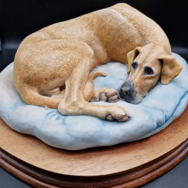 Tan Great Dane Lying Down Border Fine Arts Dog Figurine & Plinth E Waugh BFA 077