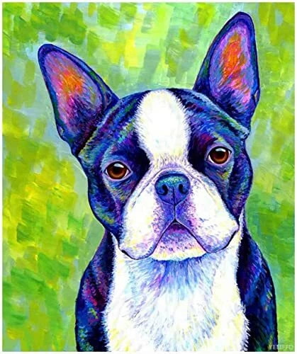 Diamond Painting Boston Terrier Dog DIY 5D Mosaic Art Cross Stitch Craft kit Diamond Painting Boston Terrier Dog DIY 5D Mosaic Art Cross Stitch Craft kit