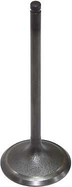 Bronco Intake Valve AU-09221I 183-09221 128357