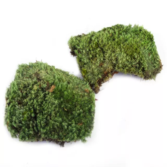 Musgo artesanal verde artificial cunas bolsa musgo decoración musgo 10,5 x 7,5 cm ct