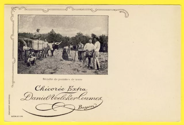 cpa 54 BAYON (Meurthe & Moselle) POTATO HARVEST Chicory Advertising