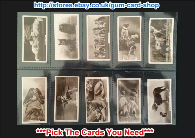 Cavanders - Animal Studies 1936 (G/F) *Pick The Cards You Need*