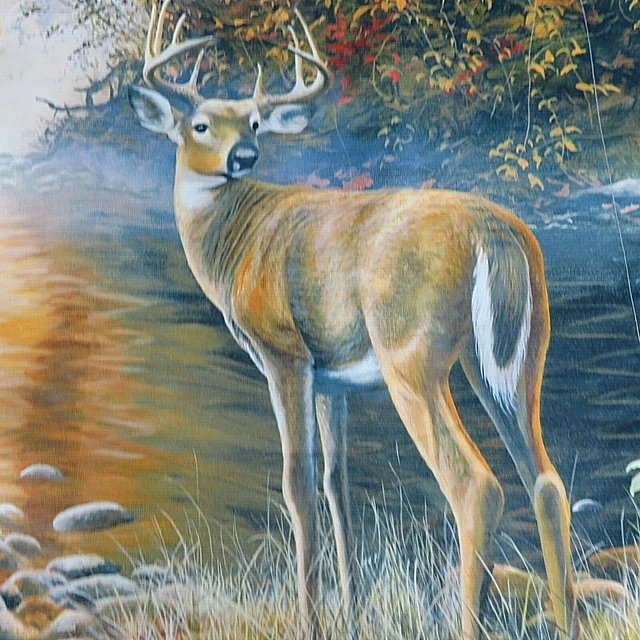 My Pillow Limited Edition Jim Hansel Beside Still Waters Pillow Case Deer