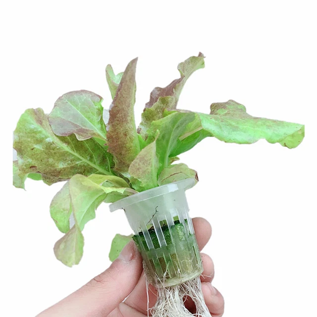 50pcs Hydroponic Planting Net Pots Cup Mesh Pot Planting Basket Hydroponic