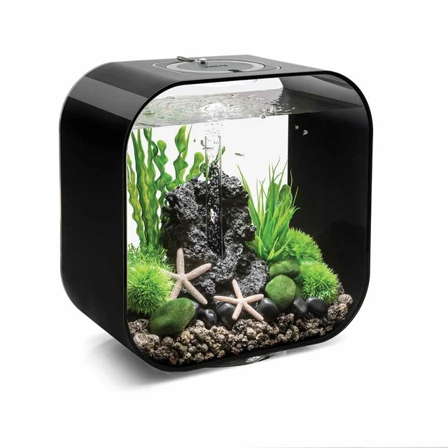 BIORB LIFE 30 LED BLACK KIT w/MULTI COLOR REMOTE