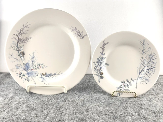 Pfaltzgraff winter frost one dinner plate one salad plate set of 2