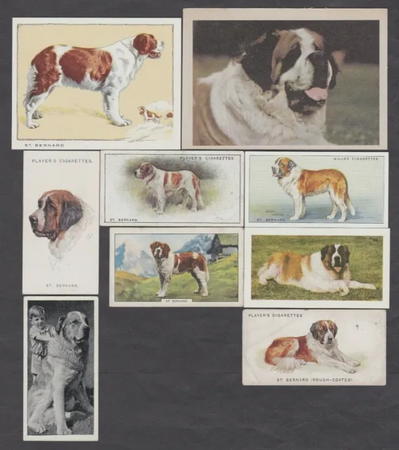 9 Different Vintage SAINT BERNARD Tobacco/Cigarette Dog Cards Lot