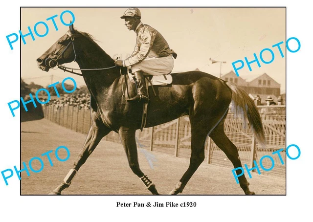 OLD LARGE PHOTO HORSE RACING GREAT JIM PIKE RIDING PETER PAN c1920