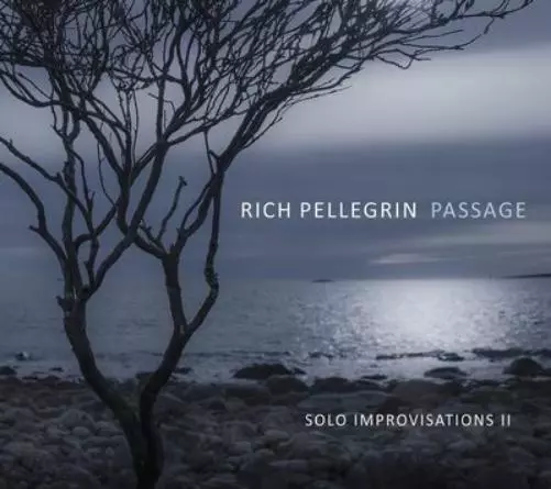 Rich Pellegrin Passage: Solo Improvisations II (CD) Album (US IMPORT)