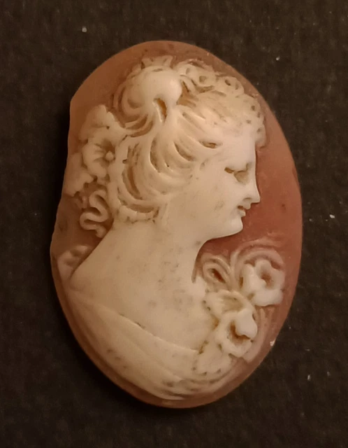 Ancien Camée sur coquillage sans monture (N°10) beau profil 1,8x2,5cm B.E