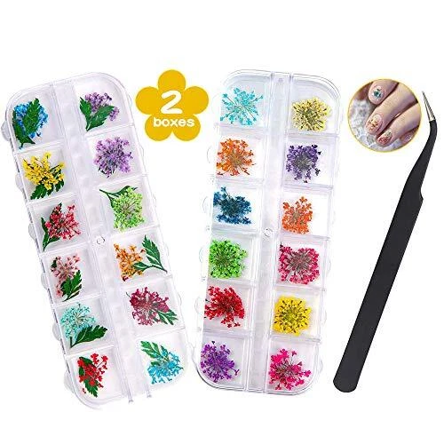 Fleurs Séchées pour Ongles – 2 Boîtes 36 Pièces de Fleurs Séchées pour Travau...