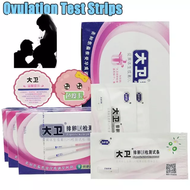 Test Urine Test Strips LH Detection Pregnancy Test Ovulation Test Strips